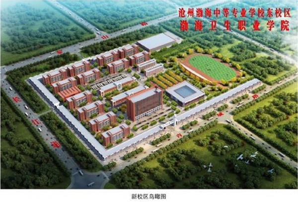 滄州學(xué)幼師為什么選擇滄州渤海專修學(xué)院？