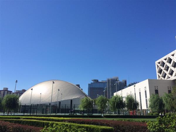 北京國際青年研修學(xué)院都開設(shè)哪些專業(yè)？