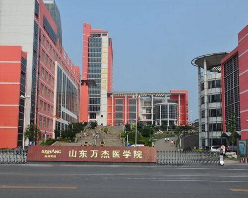 山東萬(wàn)杰醫(yī)學(xué)院優(yōu)勢(shì)有哪些？