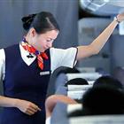 航空服務(wù)（票務(wù)、安檢方向）、航空乘務(wù)定向委培